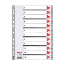 ESSELTE SEPERATÖR 1-12 PP AYRAÇ 100106