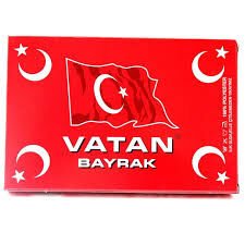 VATAN DİREK BAYRAĞI 100*150