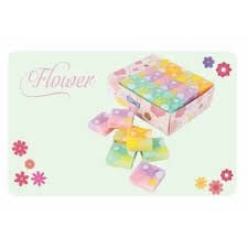 GIPTA K2359 FLOWER SİLGİ